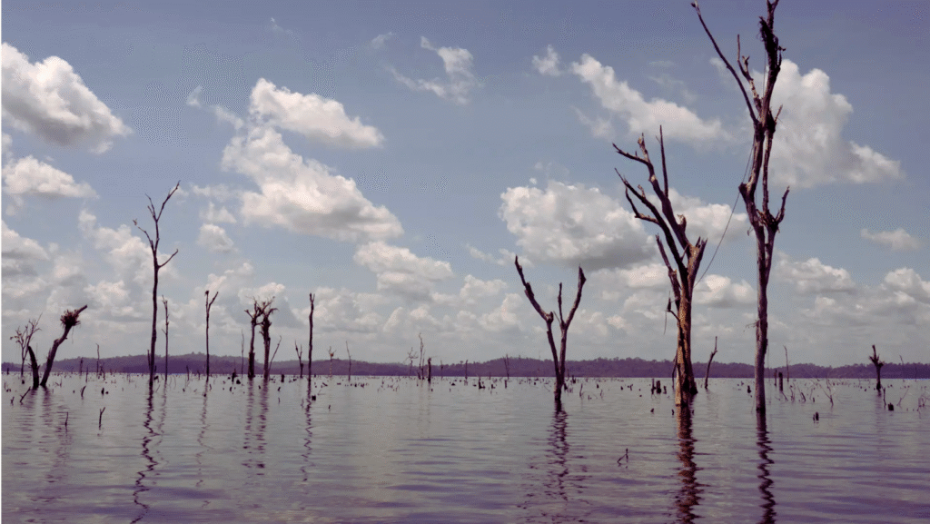 Joseephs dikt Foto: Andrés Cardona/Vist Projects