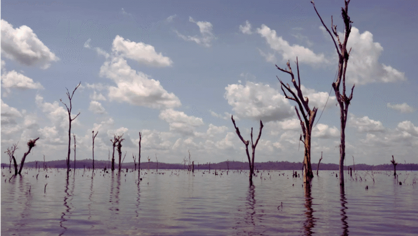 Foto: Andrés Cardona/Vist Projects