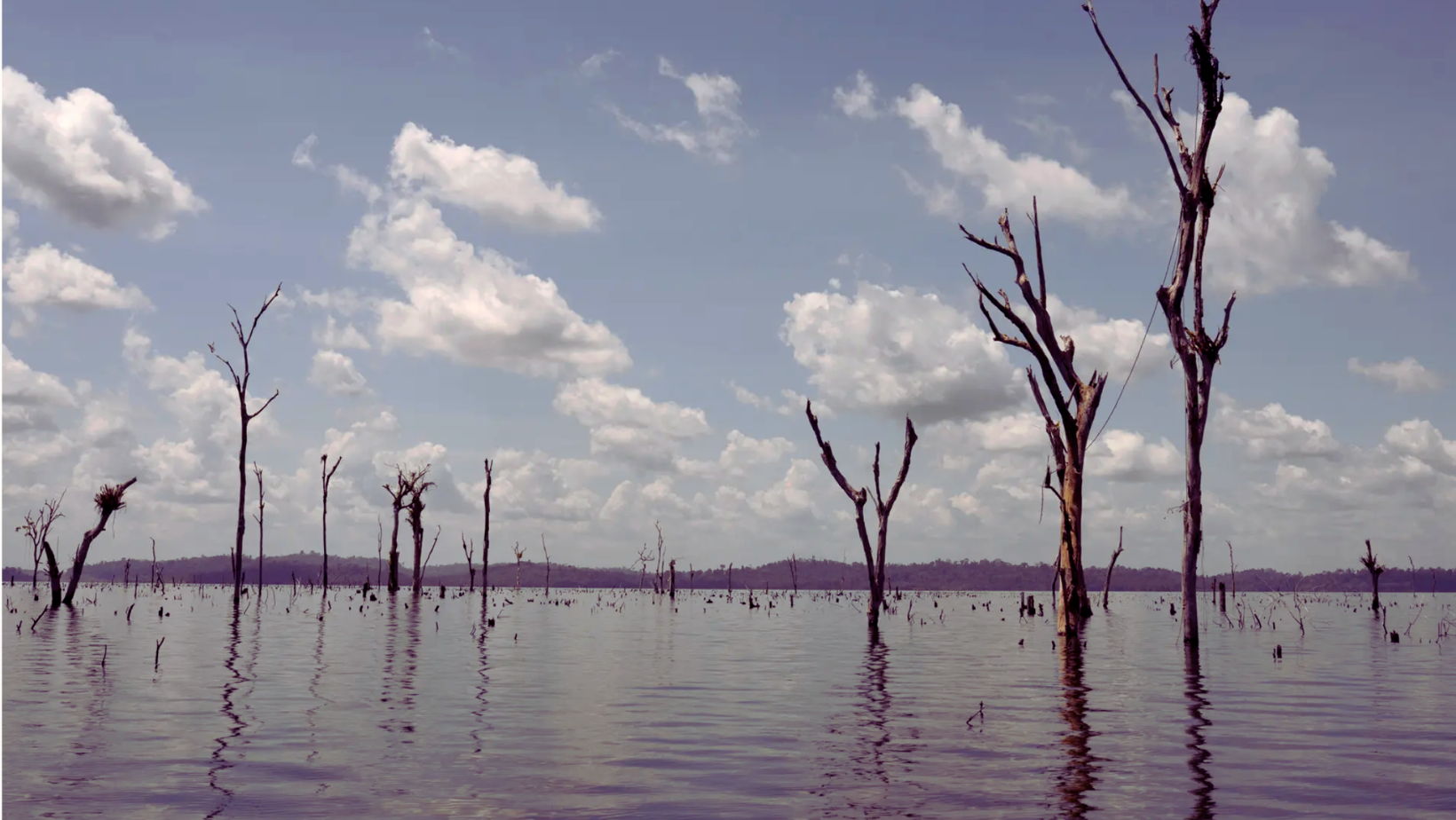 Foto: Andrés Cardona/Vist Projects